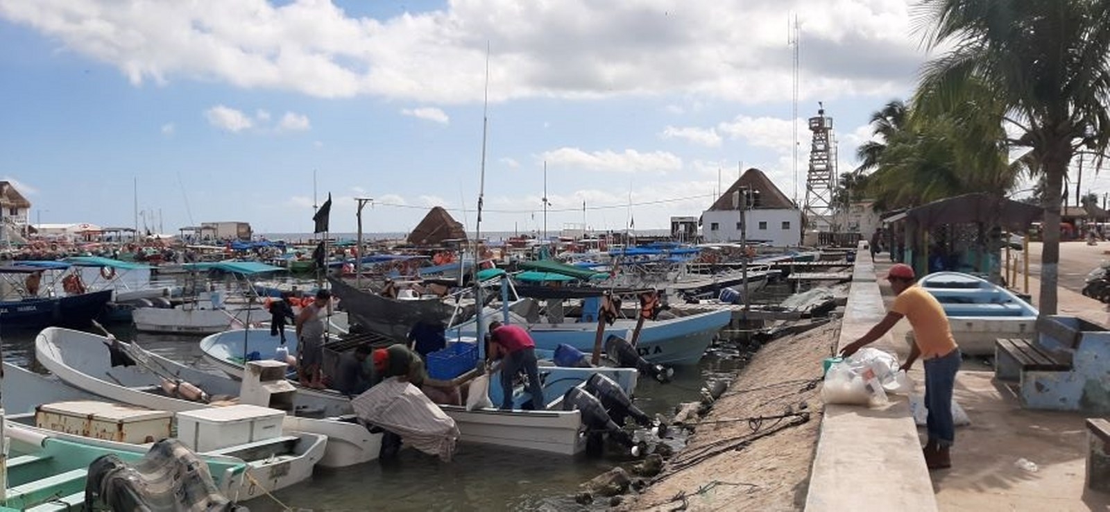 Los pescadores de langosta en Holbox acudirán a los campamentos ubicados en Cabo Catoche para iniciar con sus labores