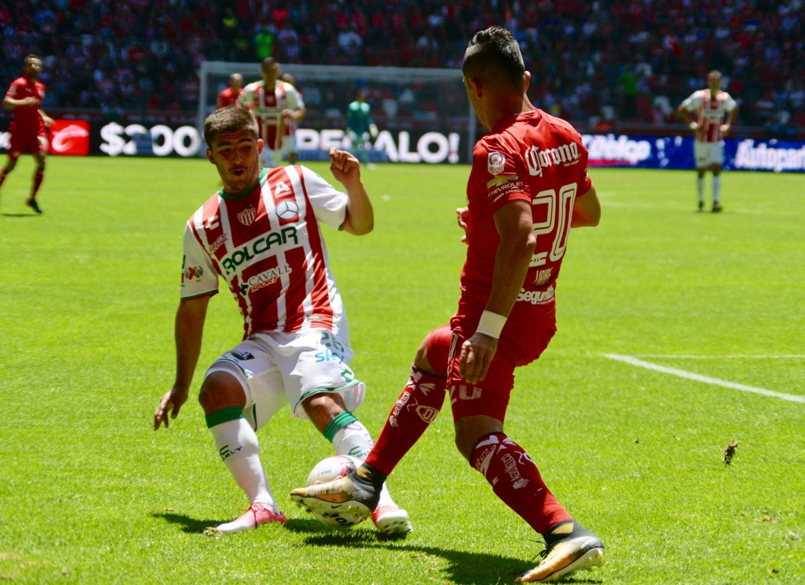 Necaxa vs Toluca: ¿Dónde y a qué hora ver el partido de la Jornada 1 de la Liga MX?