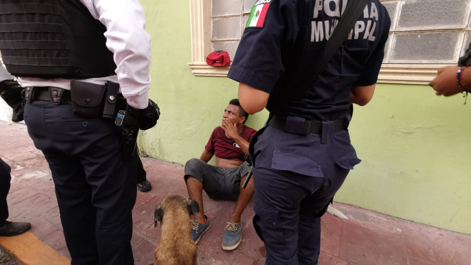 Le cortan la lengua a "viene viene" en Ciudad del Carmen