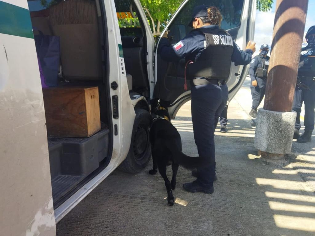 Playa del Carmen: Detienen a presunto narcomenudista cuando viajaba en una combi de pasajeros