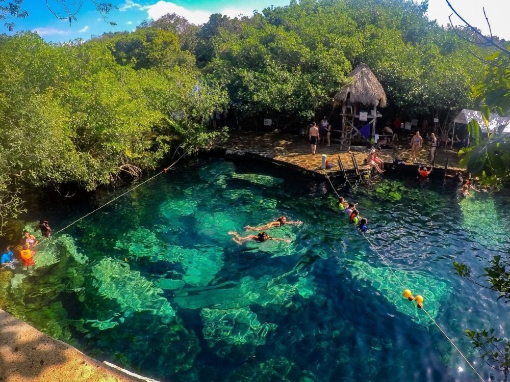 10 cenotes de Quintana Roo, contaminados con la bacteria E. Coli: Cofepris