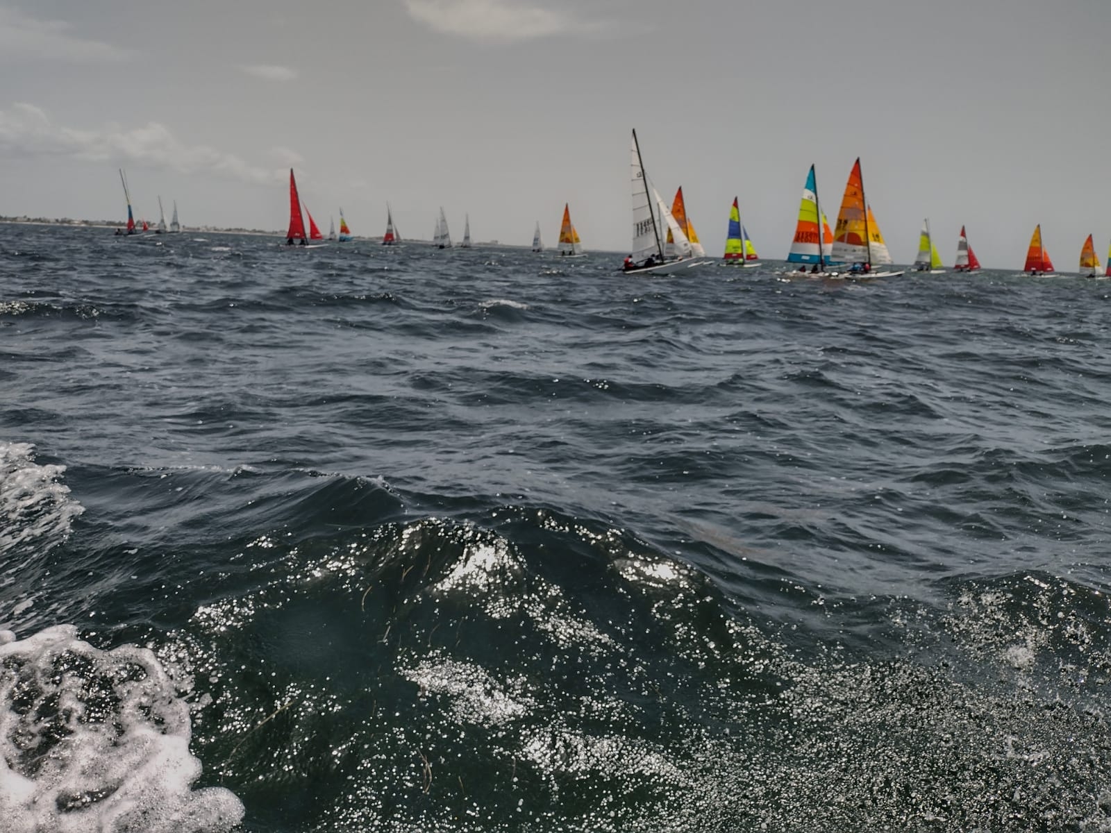 Inicia Copa Commins de Vela en Yucatán con la participación de seis países: EN VIVO