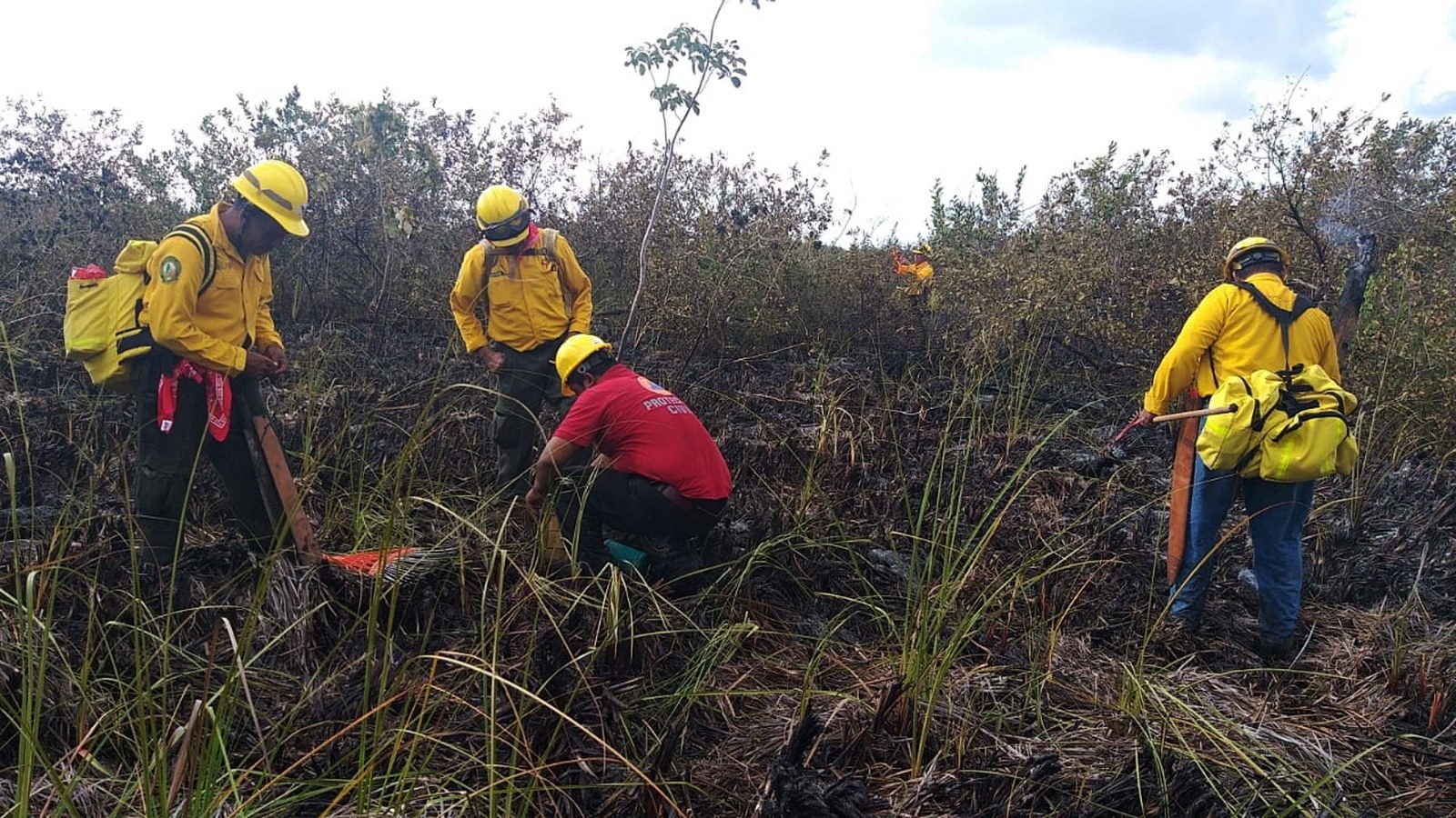 El fuego fue controlado en una zona siniestrada en la Reserva de Sian Ka'an, en el municipio de Felipe Carrillo Puerto