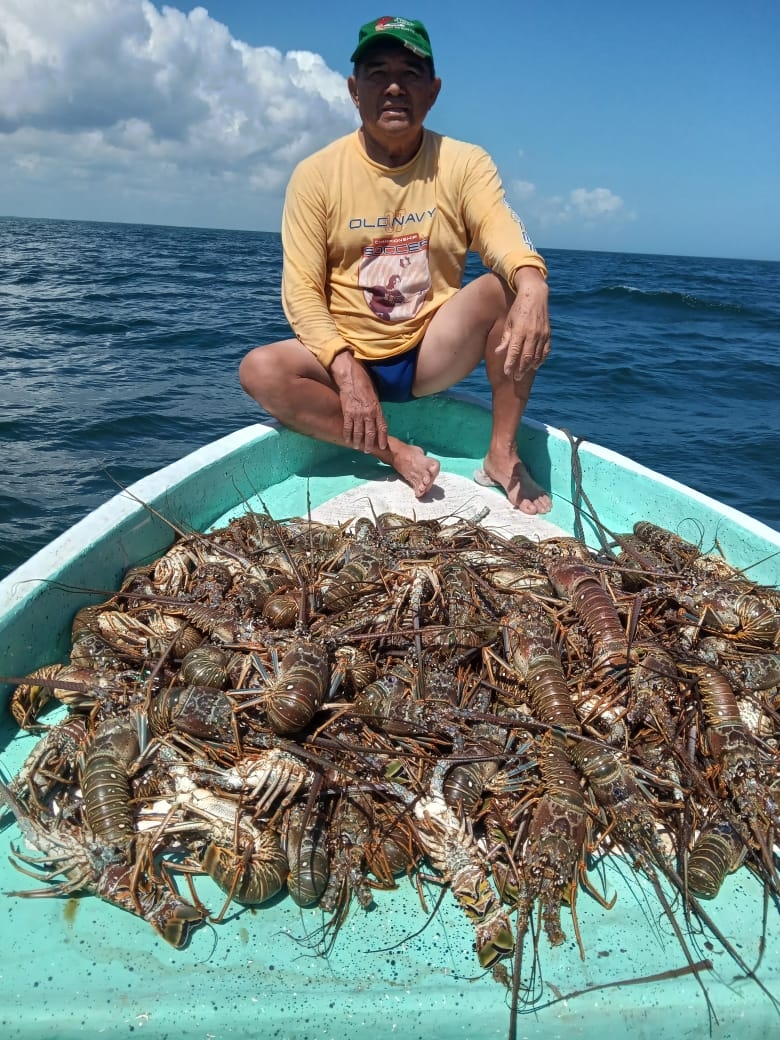 Temporada de langosta 2022 en Yucatán, sin reporte de buzos muertos por descompresión