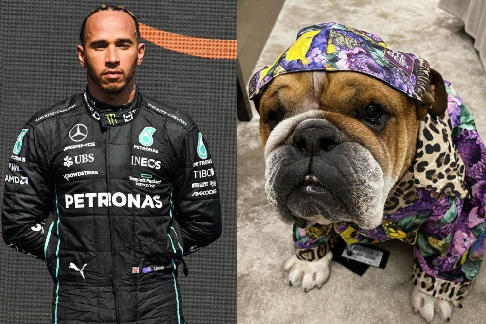 Lewis Hamilton comparte momentos con su mascota 'Roscoe' en sus ratos libres en la Fórmula 1