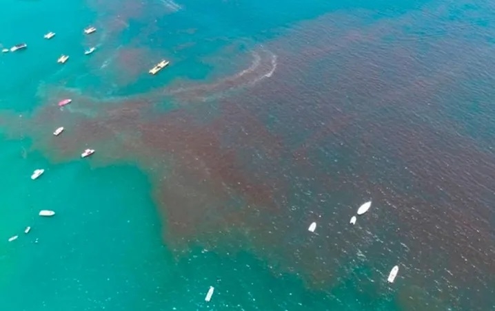 La marea roja ha ocasionado la muerte de toneladas de peces y una pausa en la actividad pesquera