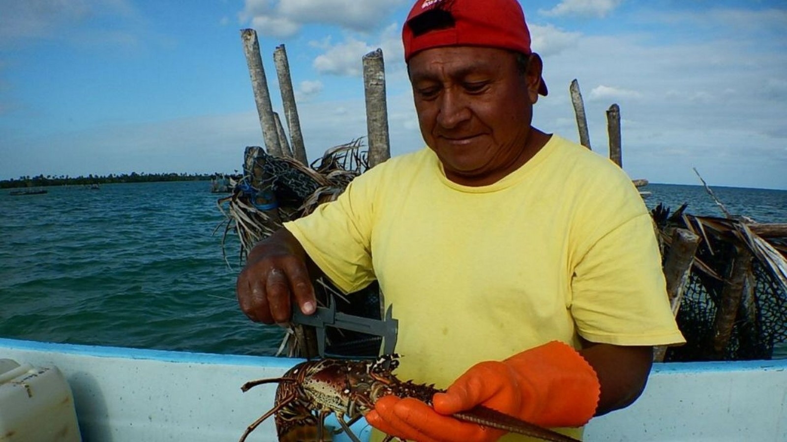 Los pescadores acudieron al campamento pesquero cerca de Cabo Catoche en Quintana Roo para iniciar la captura de langosta