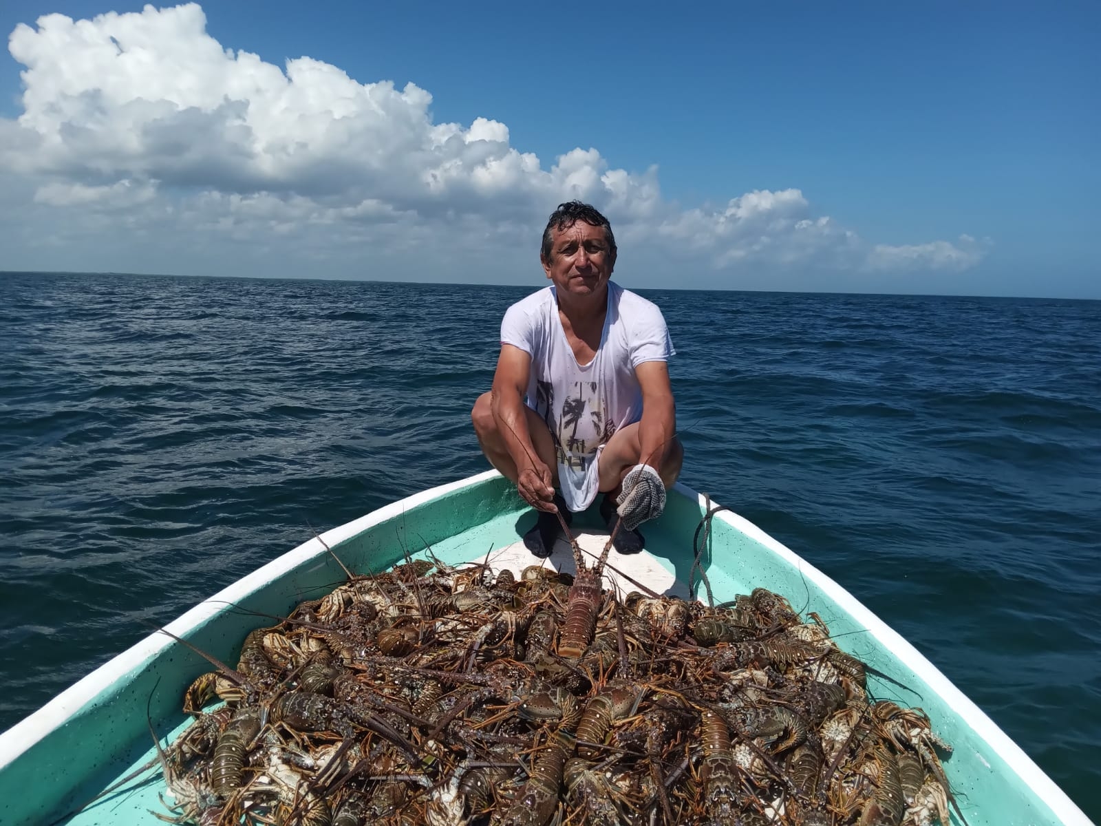 Pescadores de Yucatán ven con optimismo la nueva temporada de langosta