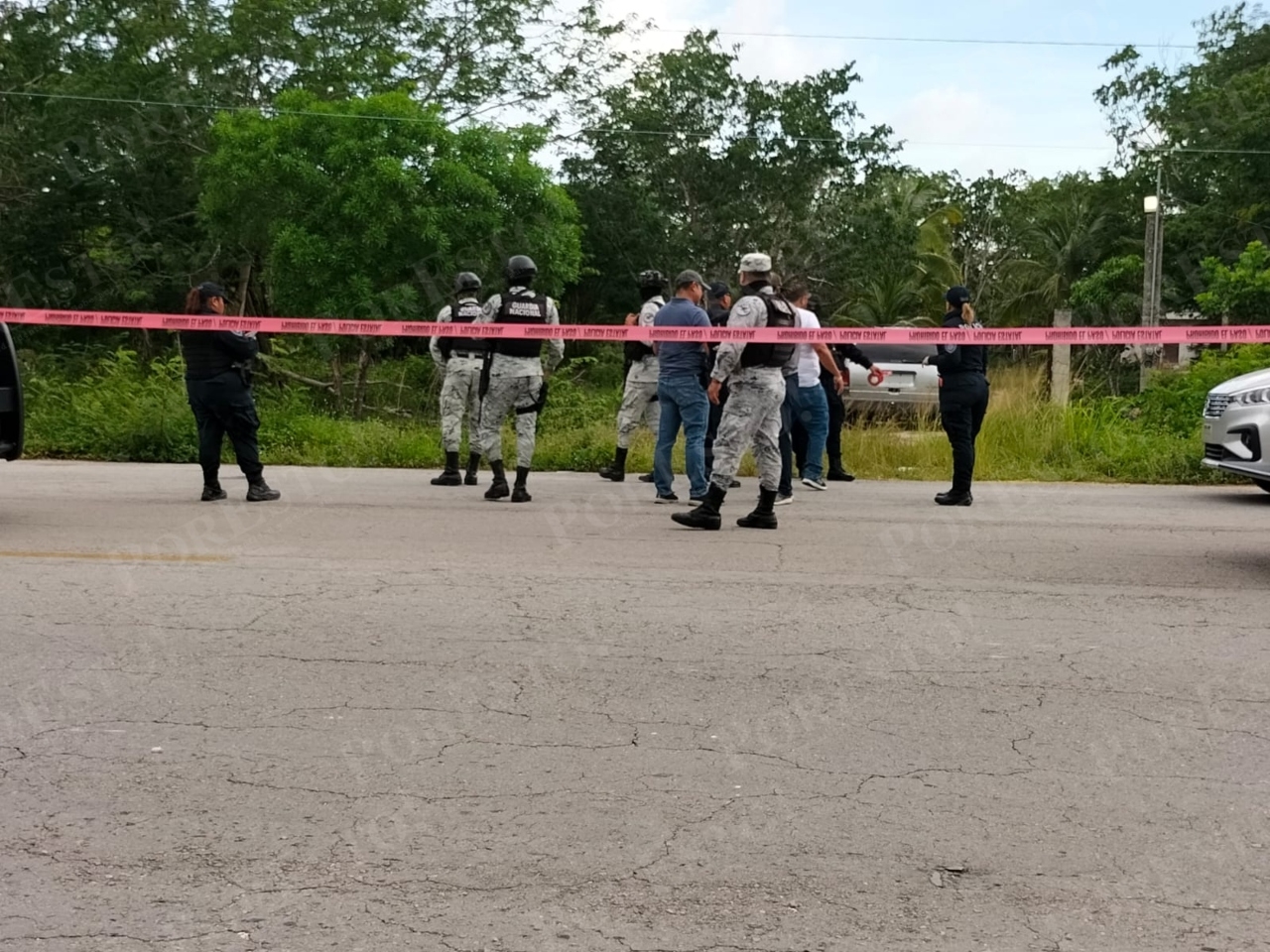 Aseguran presunta narcobodega en la carretera transversal de Cozumel: VIDEO