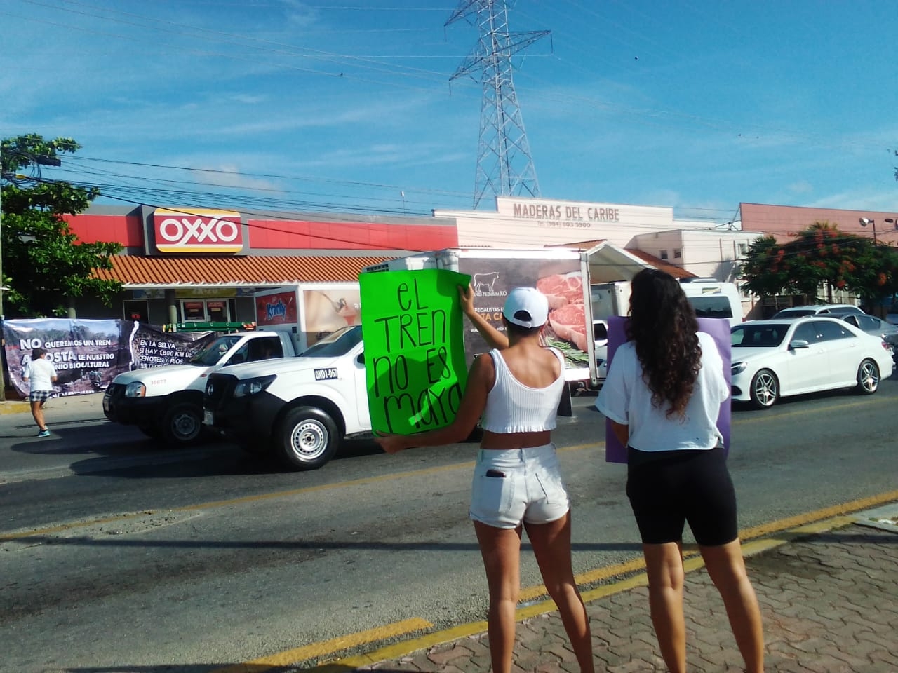 Algunos de los manifestantes se colocaron en ambos lados del Boulevard Playa del Carmen paradar a conocer su rechazo al Tren Maya