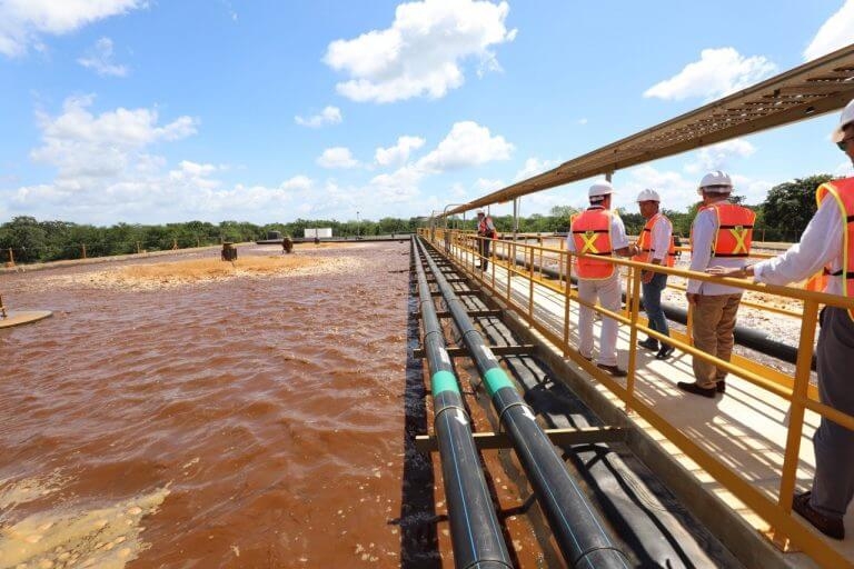 Granjas porcícolas desechan hasta 1.5 millones de litros de agua podrida al día en Yucatán: Estudio