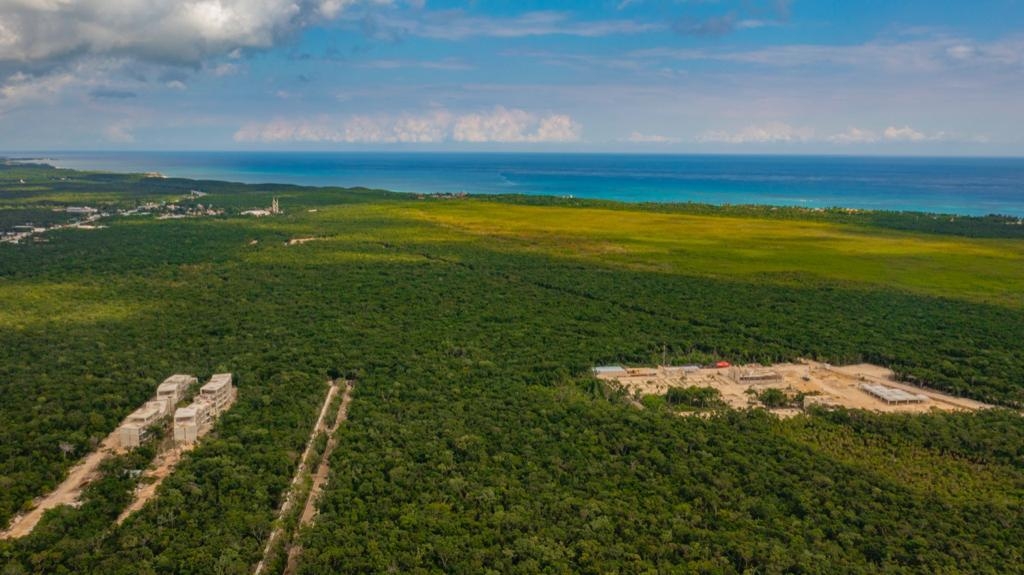 En este espacio se ubican siete tipos de vegetación, que son, selva alta o mediana subperennifolia