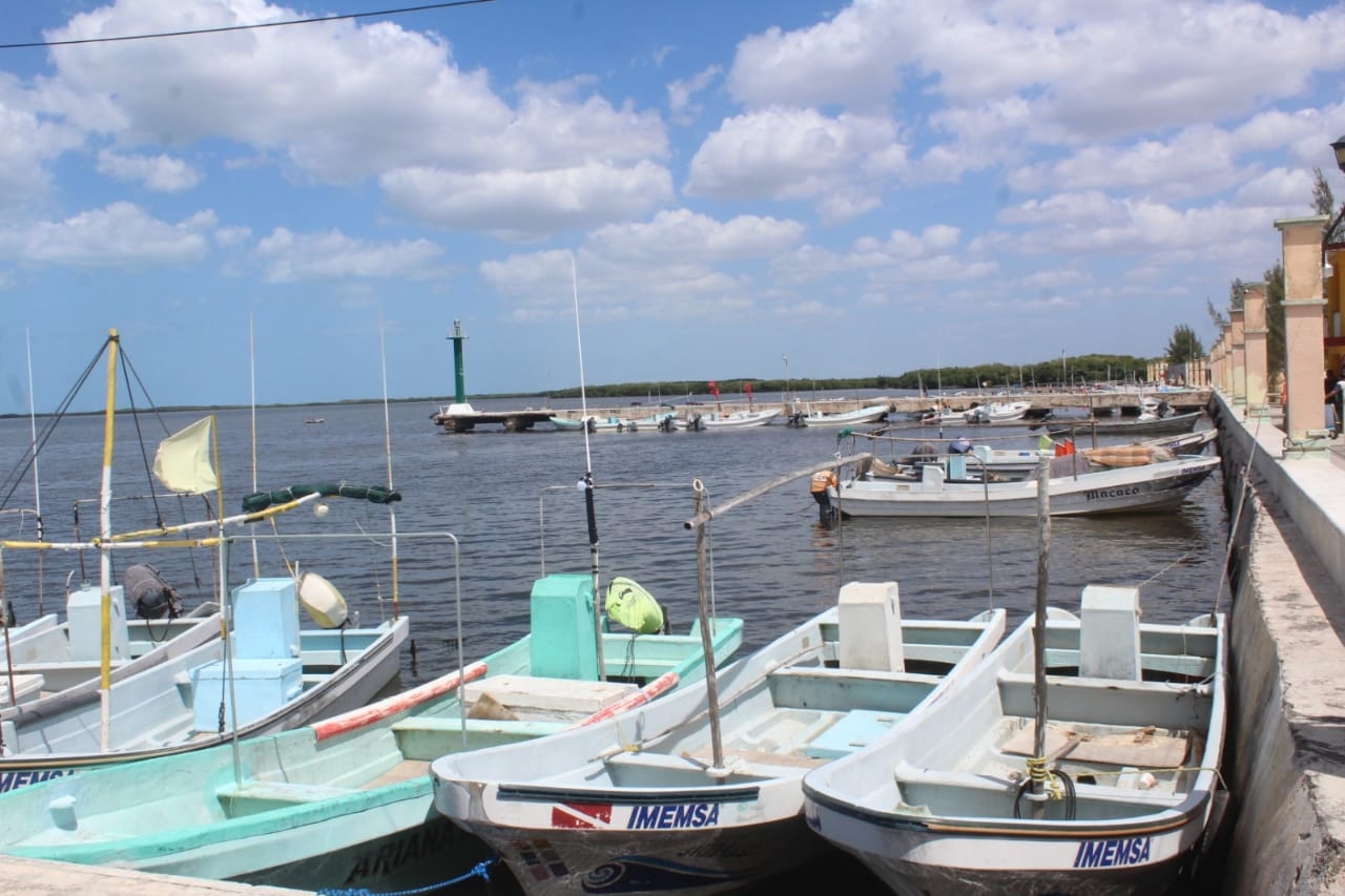 En el combate contra la pesca furtiva en el Litorial Oriente de Yucatán se han unido los habitantes