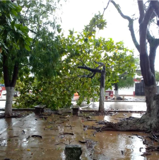 La tormenta eléctrica y lluvias continúan, pese a que los vientos han disminuido continúan provocando daños