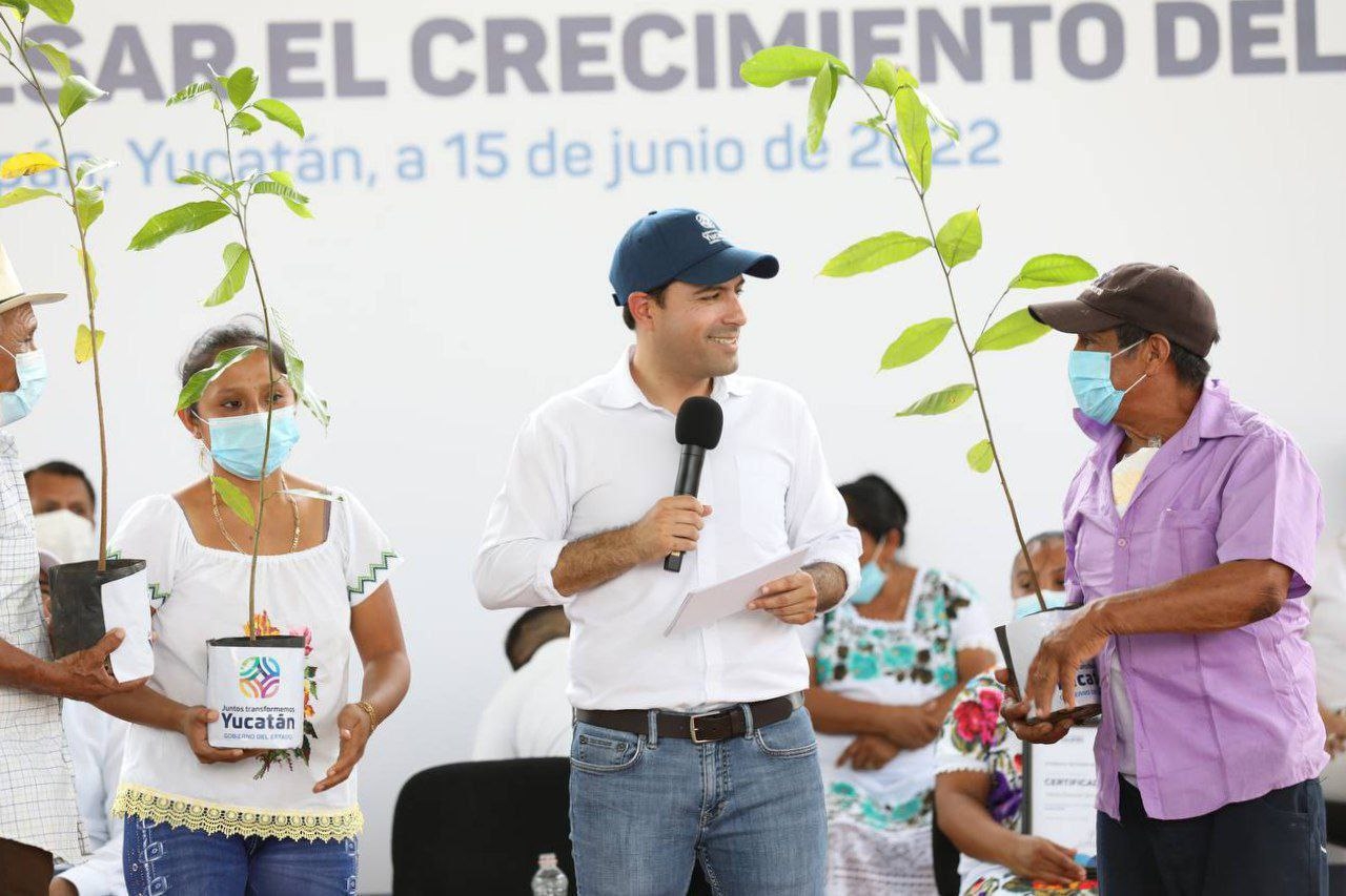 Mauricio Vila entregó árboles de ramón para reforestar el estado