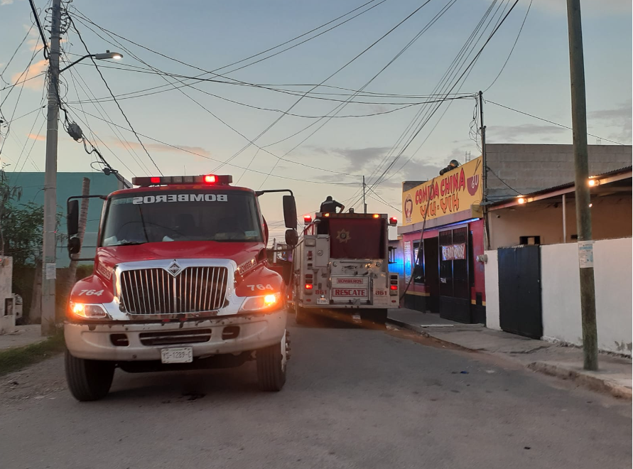 Los pr propietarios llamaron al número de emergencia 911 para solicitar ayuda