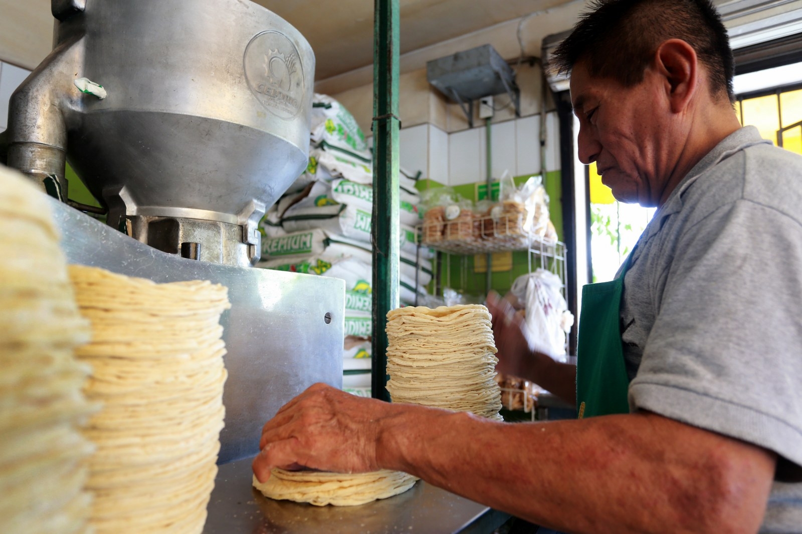 Cae 30% el consumo de la tortilla en Cancún por alto costo; el kilo se vende en 28 pesos