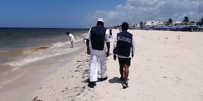 Bañistas no respetan bandera por marea roja en Progreso y los sacan del agua: EN VIVO