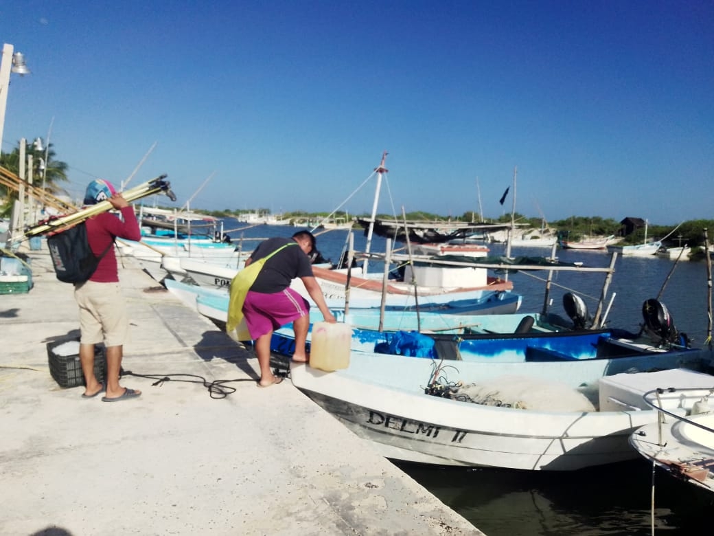 Pescadores de Chabihau prevén desplome del precio del pulpo en plena temporada