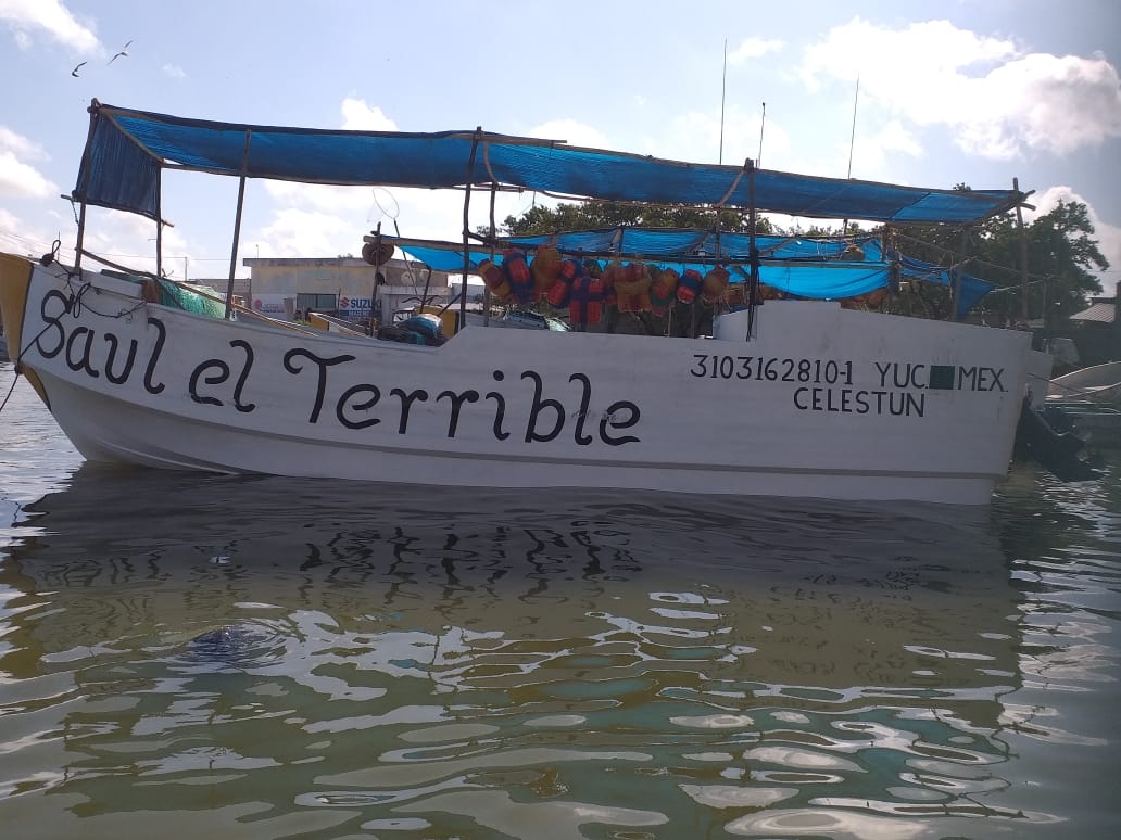 Pescador de Campeche desaparece frente a la costa de Celestún; familiares piden apoyo al gobierno