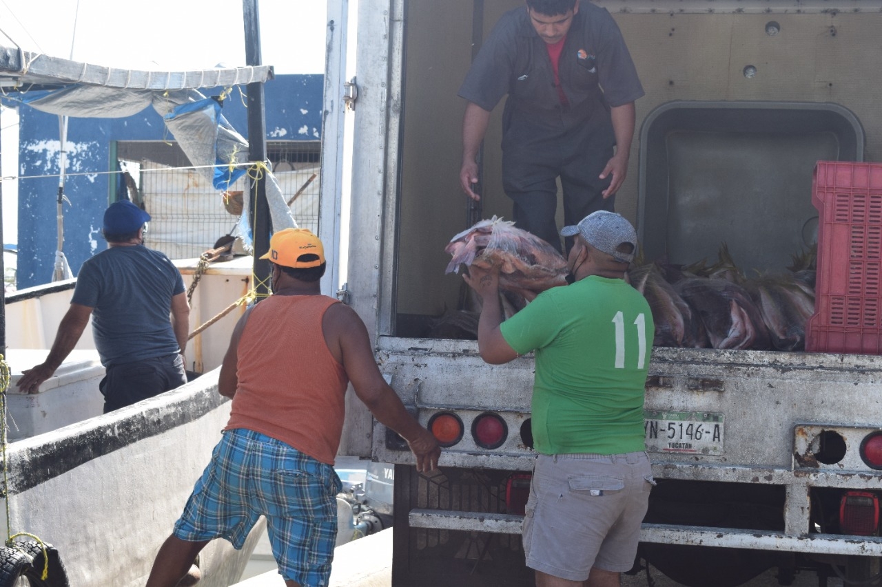 Marea roja en Progreso causa caída de precios en mariscos