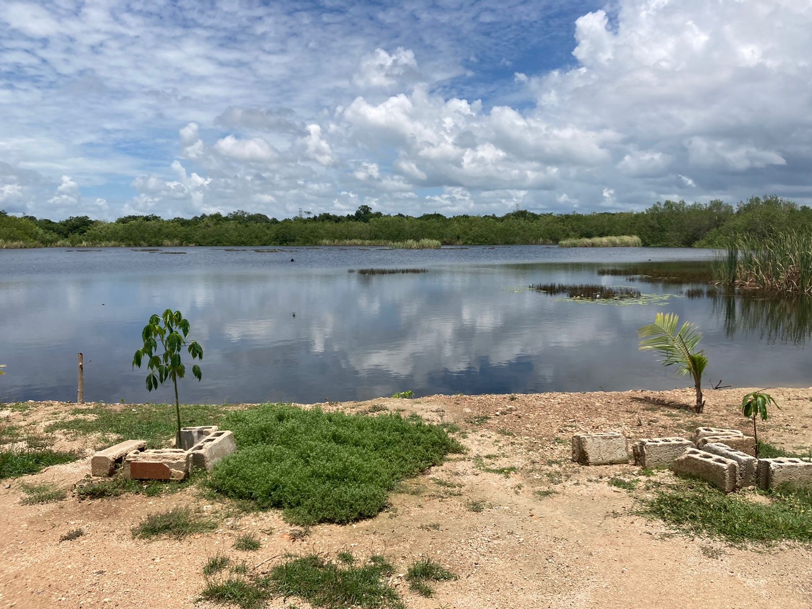 Así se ve 'La Sabana', laguna que rodea a Chetumal, tras las lluvias: VIDEO