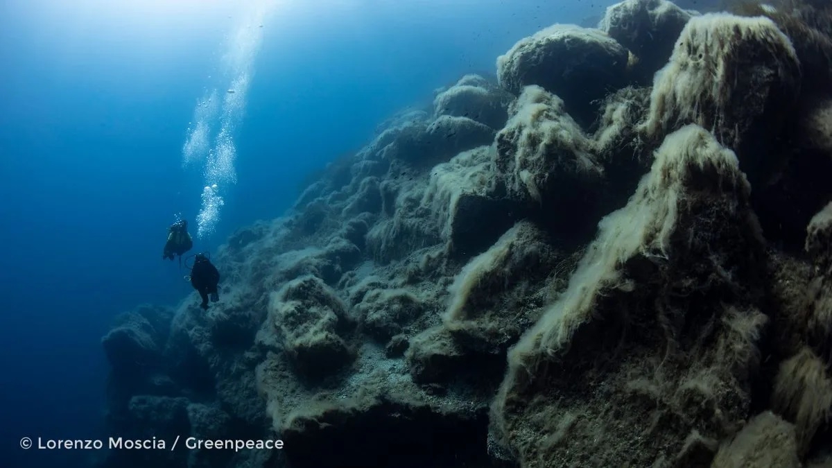 Los trabajos de investigación se realizaron en a bordo del Buque de Investigación Pesquera y Oceanográfica “Dr. Jorge Carranza Fraser”