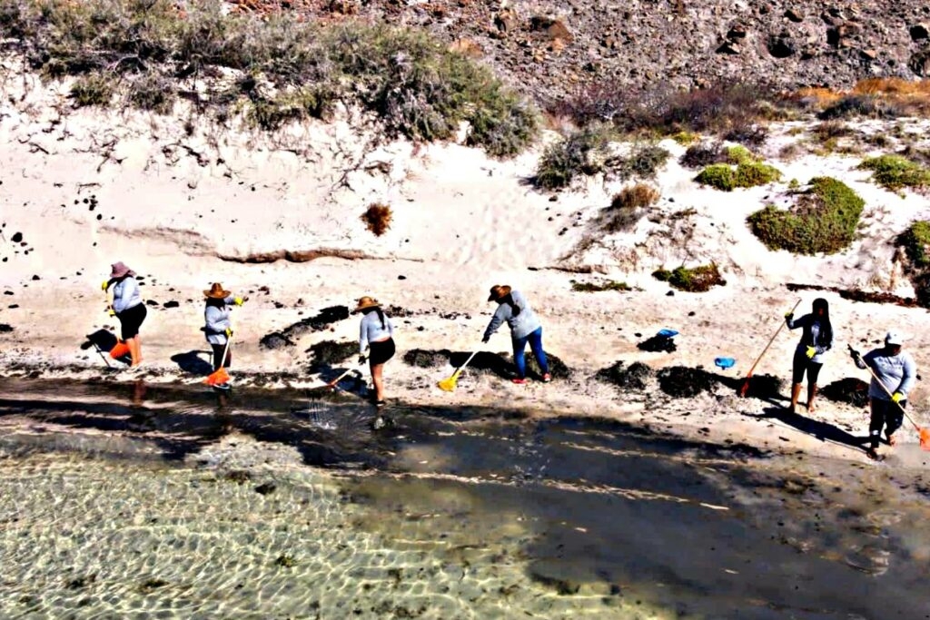 El derrame del combustible del yate estadounidense que se incendió provocó el cierre de Playa Balandra en Baja California Sur