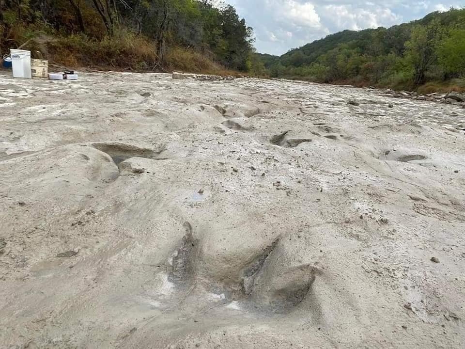 Encuentran huellas de dinosaurios en Texas tras sequía
