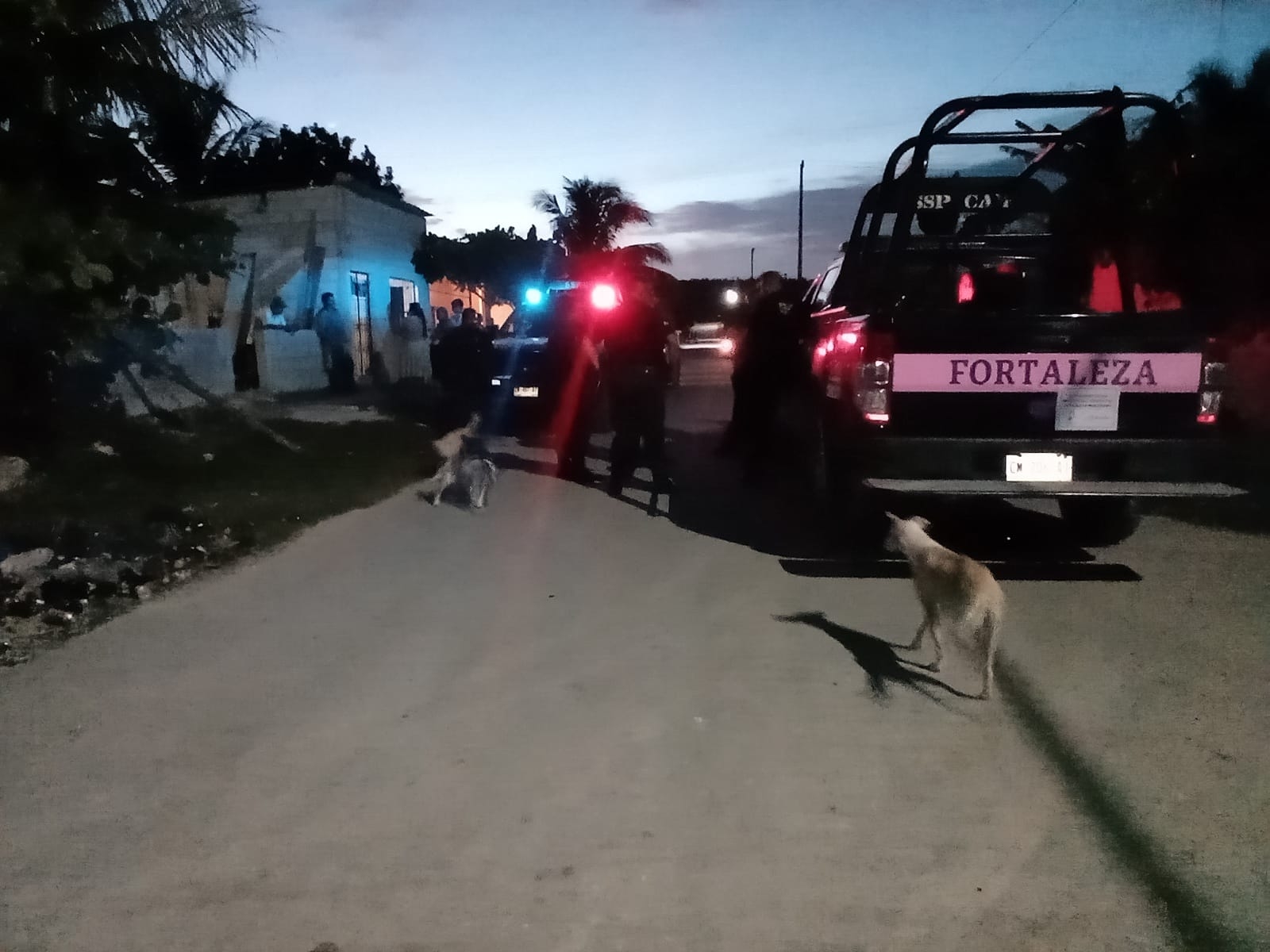 El hombre fue llevado a la Vicefiscalía General para llevar a cabo los trámites correspondientes que marca la Ley