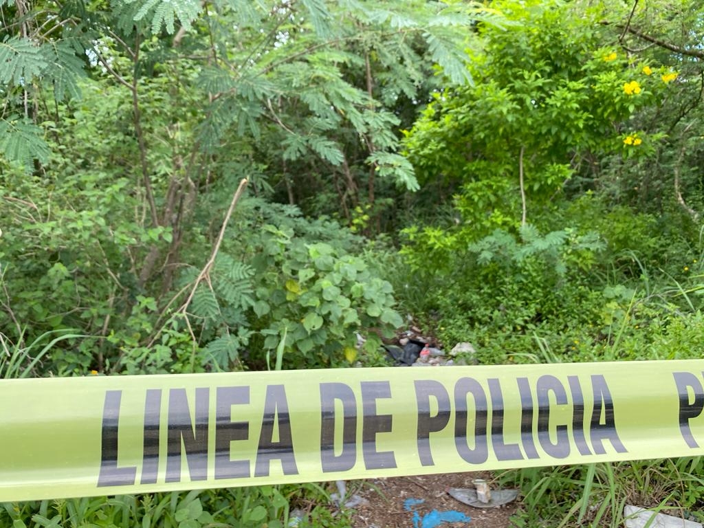 Es verdad que hallaron 10 cuerpos en la selva de la Riviera Maya, esto es lo que se sabe