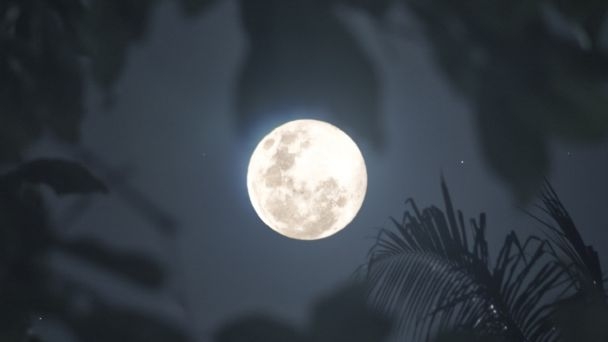 En este mes de agosto se podrá observar la última superluna del año, un fenómeno que deja fascinadas a muchas personas