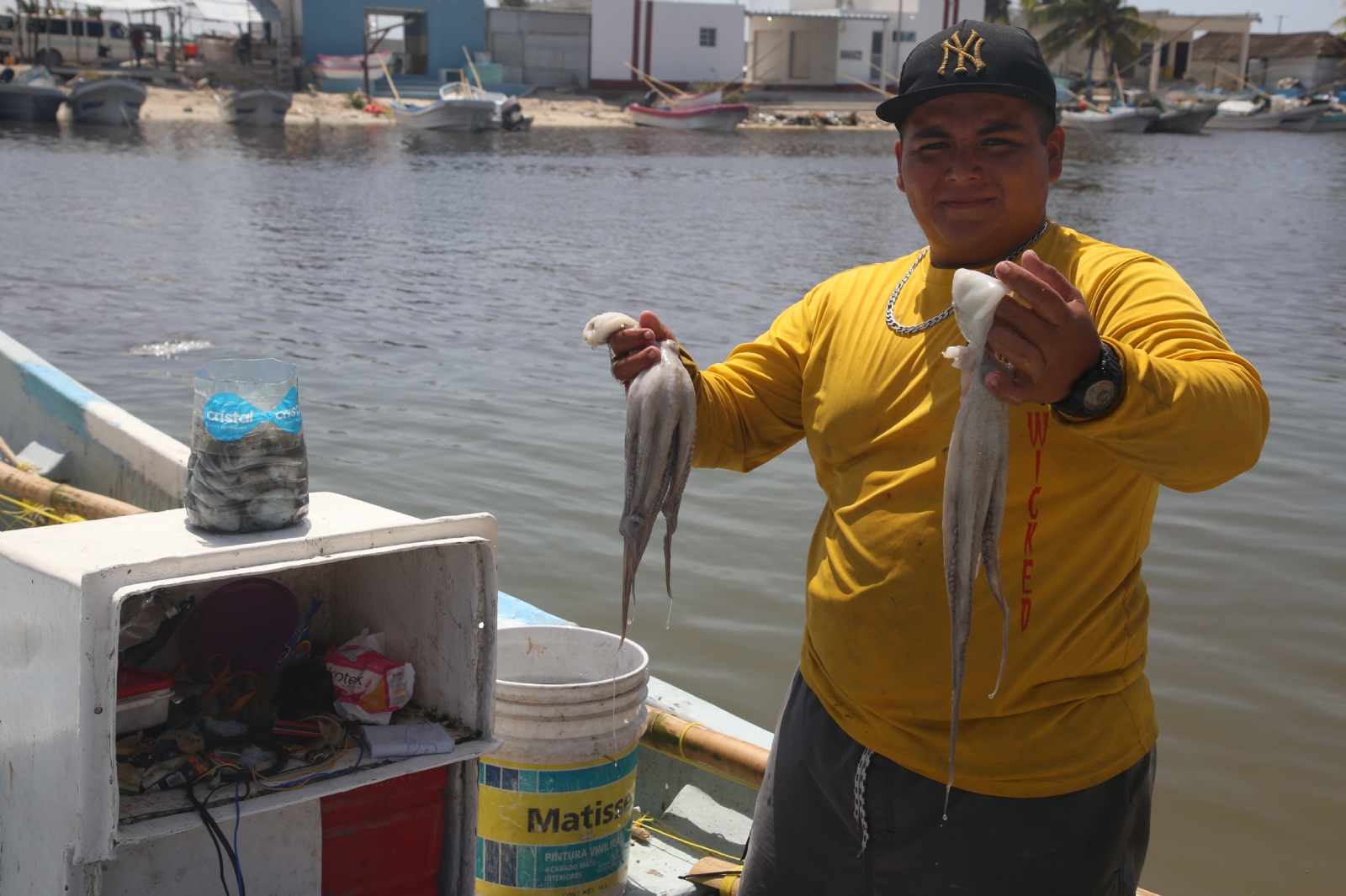 Temporada de pulpo en Yucatán no es la esperada; declaran pescadores de Sisal: FOTORREPORTAJE