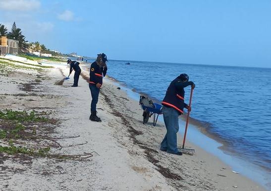 Elementos de la SSY trabajan en el monitoreo de la marea roja. Foto: Cortesía