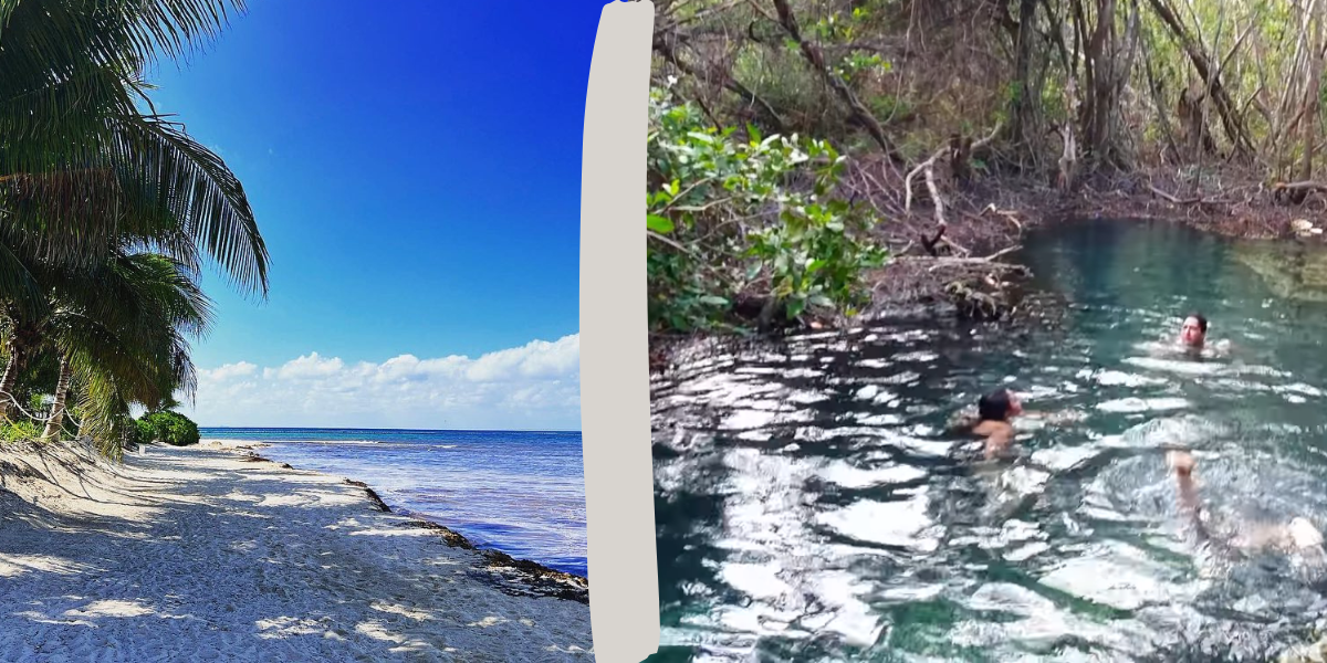 Playa del Carmen: ¿Cómo visitar una playa y cenote sin tener que gastar un solo peso?