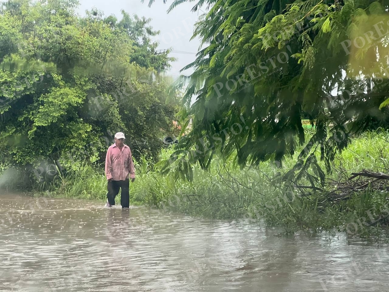 vecinos de Chetumal se vieron obligados a caminar entre el agua al no haber desazolve de las avenidas en la capital de Quintana Roo