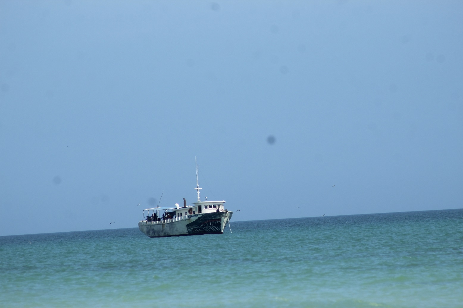 Pescadores detectan nueva mancha de marea roja cerca de El Cuyo y Las Coloradas