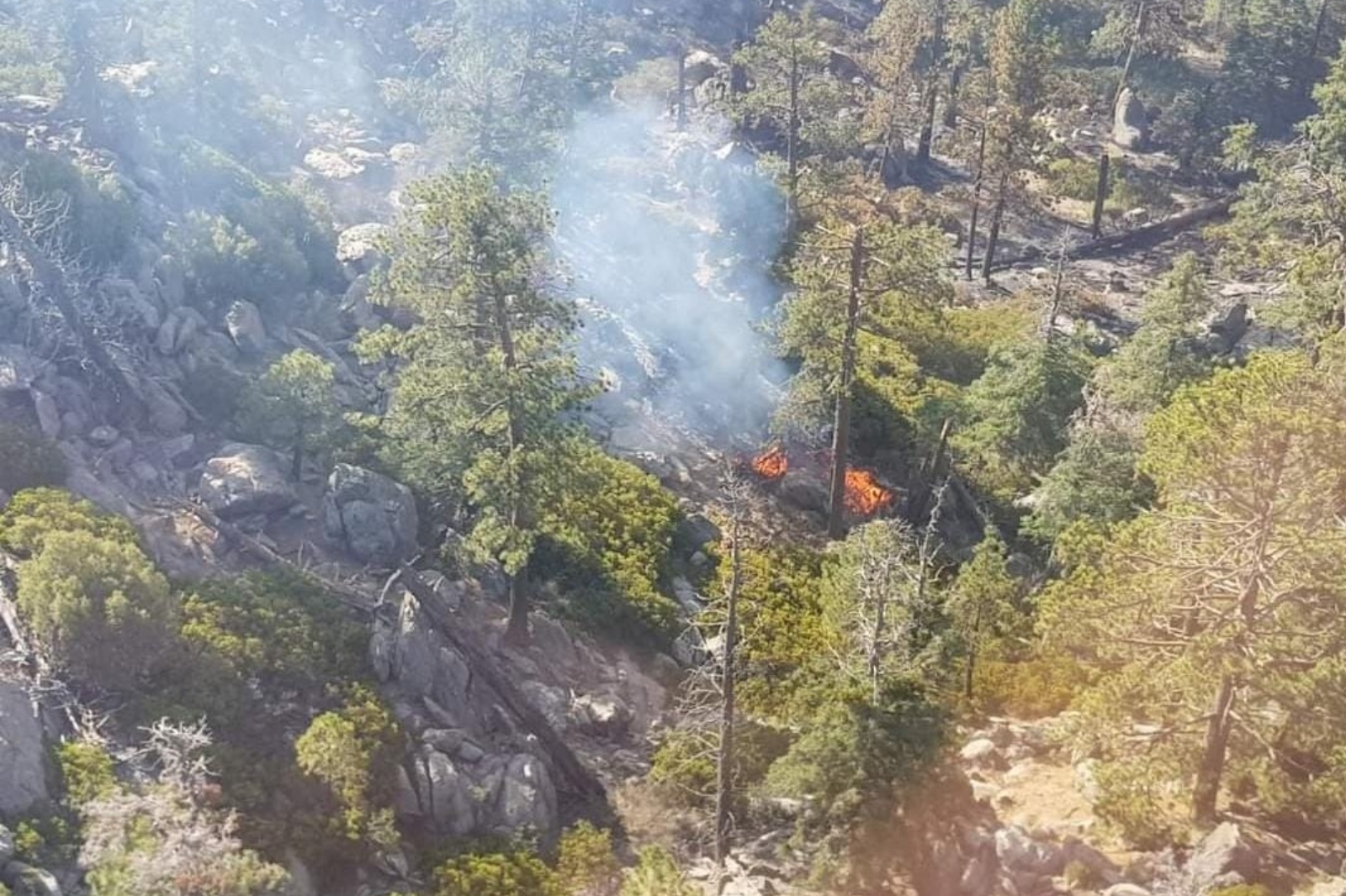 Campeche quedó debajo de Quintana Roo en el ranking de incendios forestales registrados en México