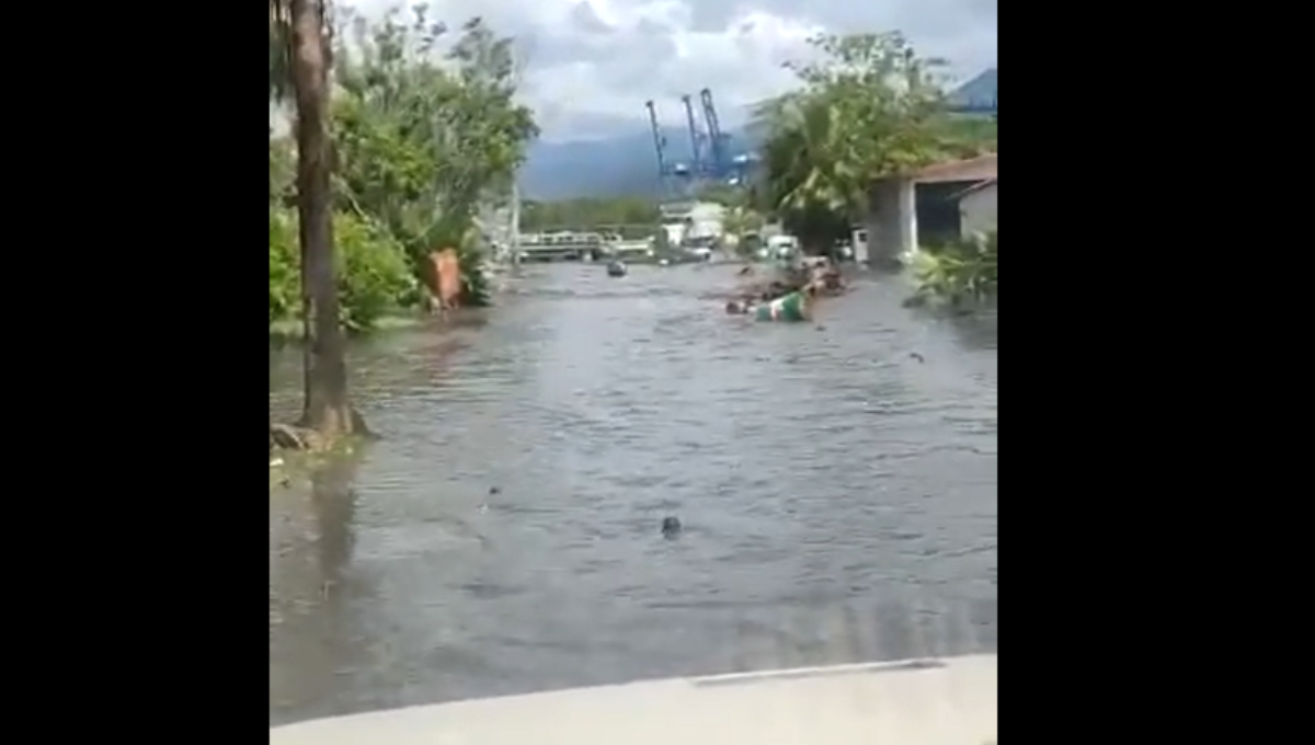 Se registra tsunami en las costas Colima tras sismo de este 19 de septiembre