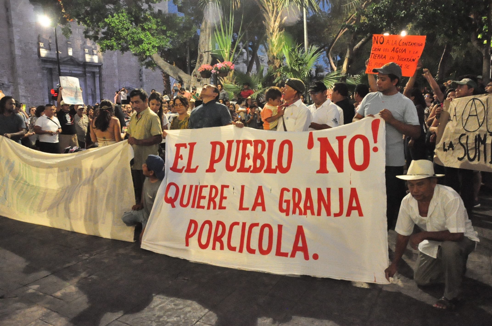 Ejidatarios de 17 municipios de Yucatán exigirán la devolución de 35 mil hectáreas de tierras