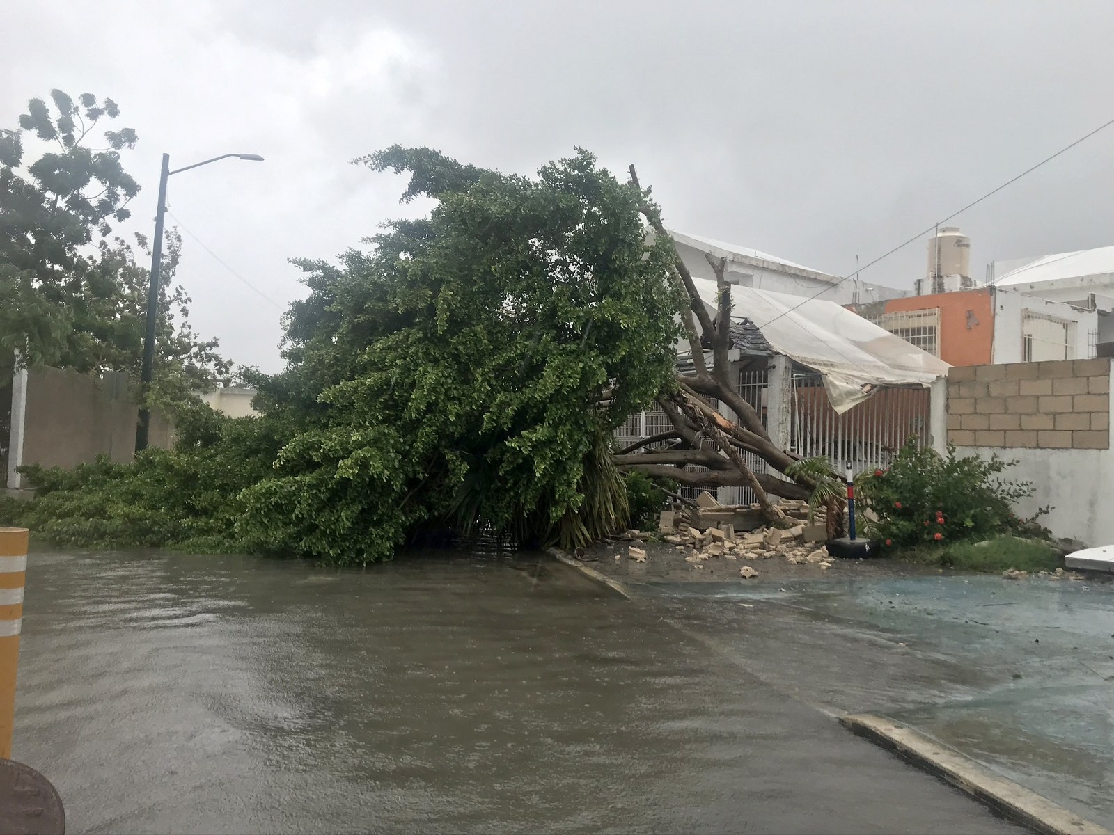 Serán cincoi municipios de Quintana Roo los que se verán afectados por los vientos y lluvias del Huracán Ian