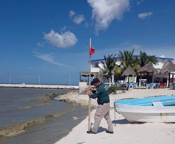 Levantan restricciones en playas de Progreso tras casi un mes de cierre por la marea roja