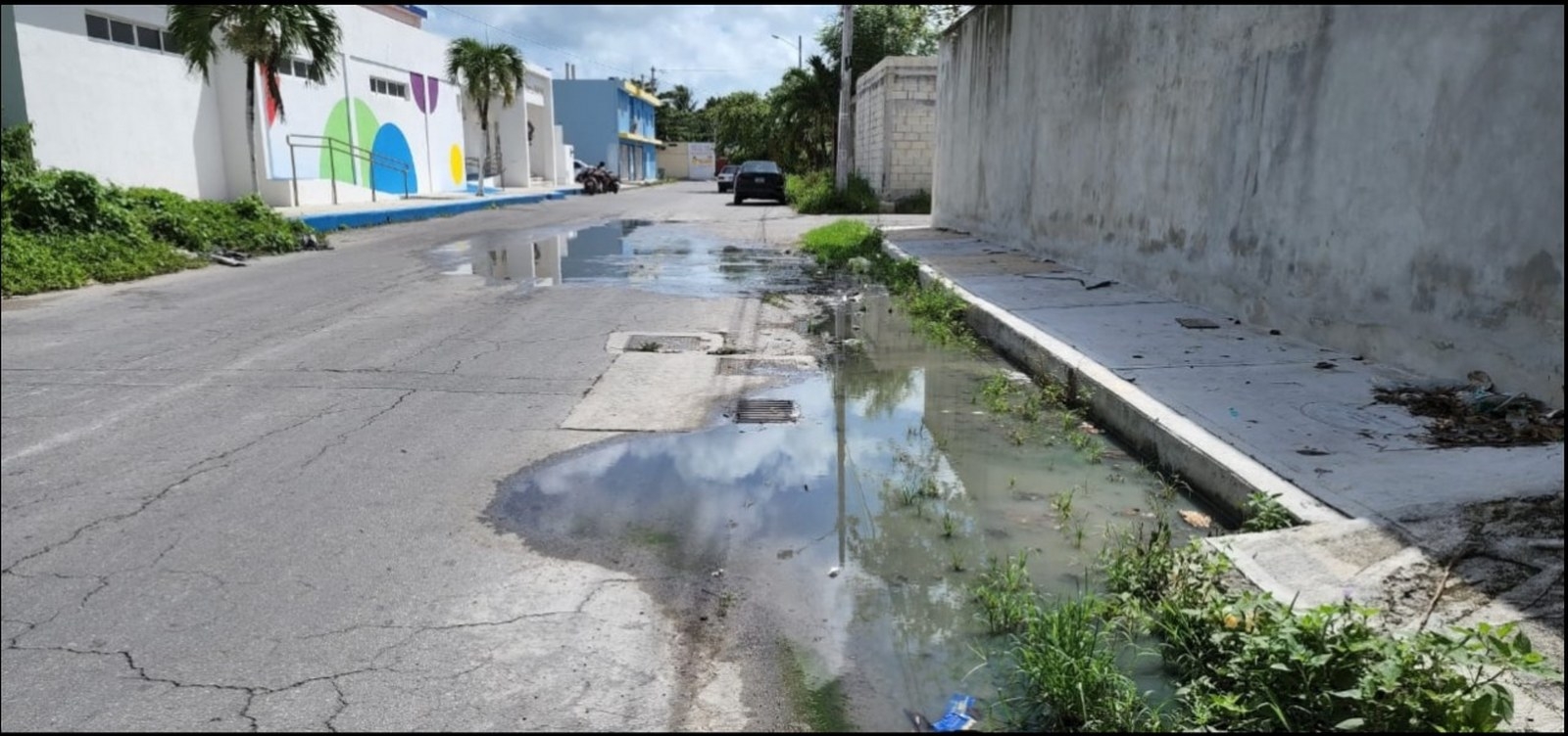 CAPA desperdició más de 297 mil metros cúbicos de agua en Q.Roo; equivale a 118 albercas olímpicas