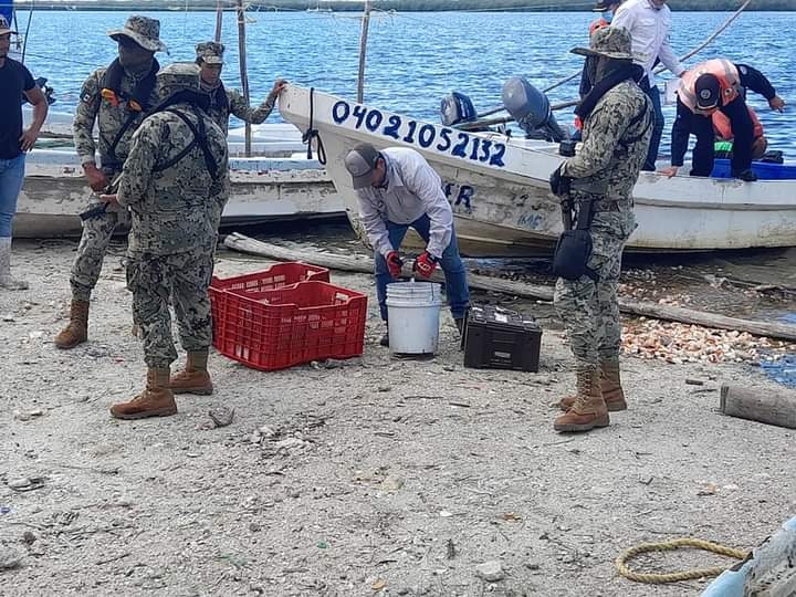 Semar detiene a pescadores de Champotón que capturaban pulpo con compresores