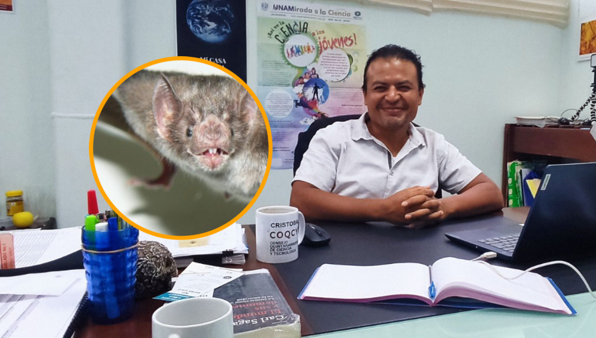 No todos los murciélagos son malos: Director del Planetario 'El Sayab' en Playa del Carmen