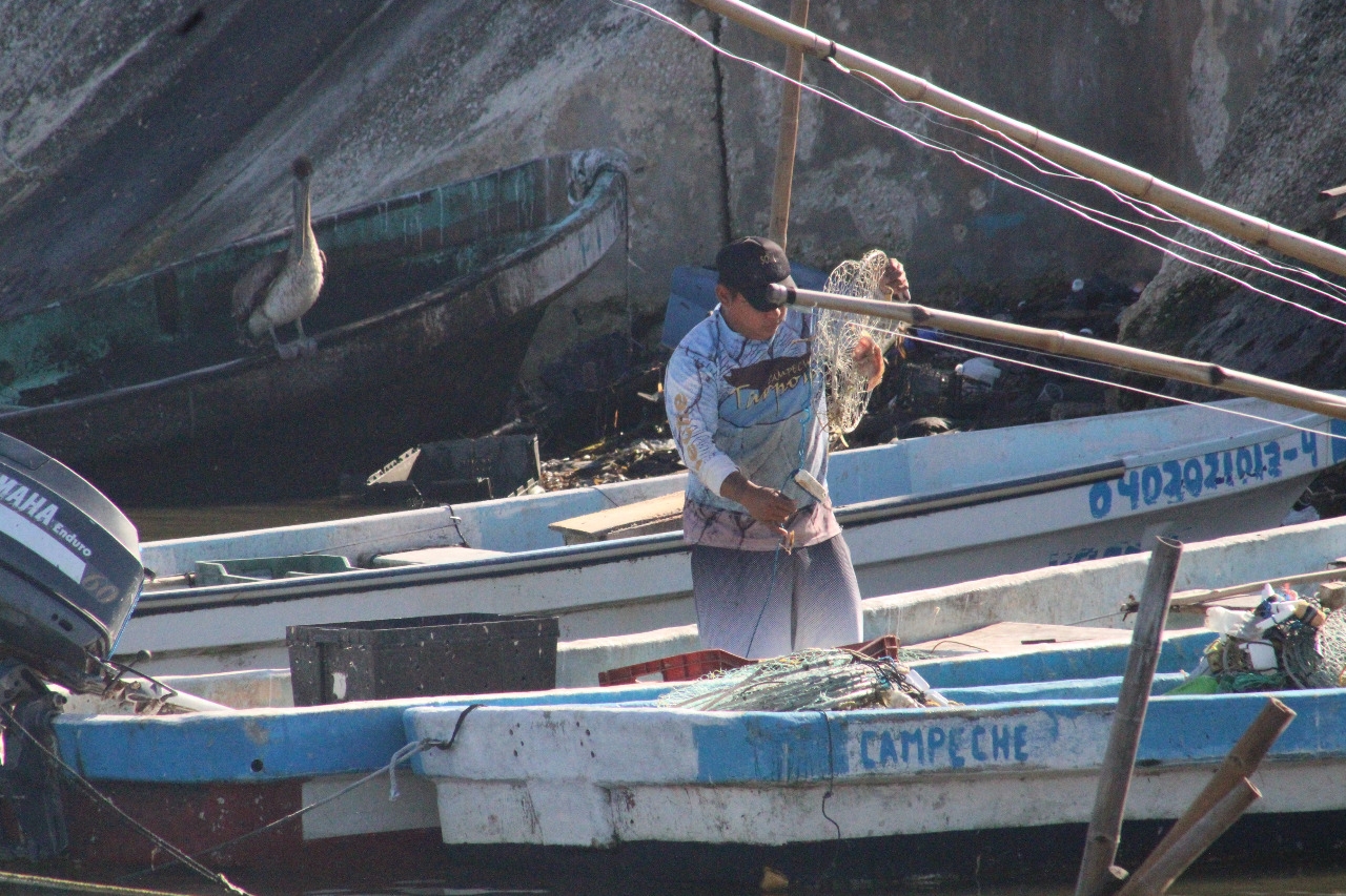 Pescadores de Campeche exigen a las autoridades solución a la pesca furtiva