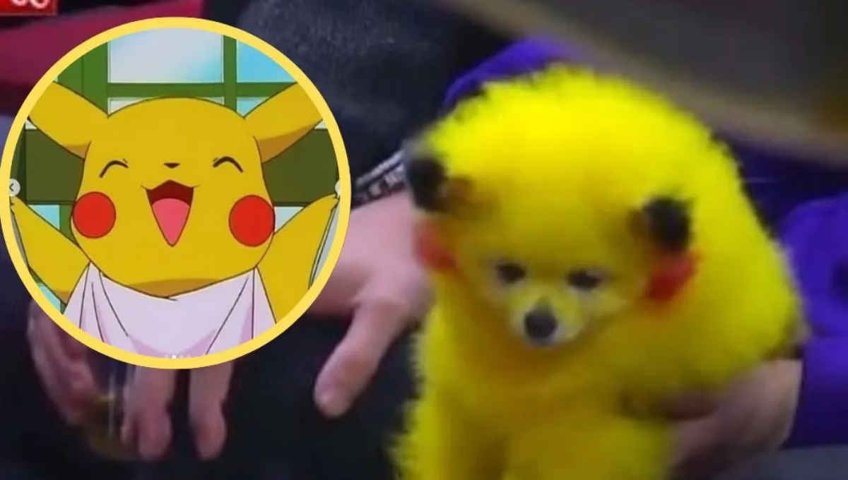 Un perrito con los colores de Pikachú se volvió tendencia al aparecer en un partido de la NBA en Estados Unidos