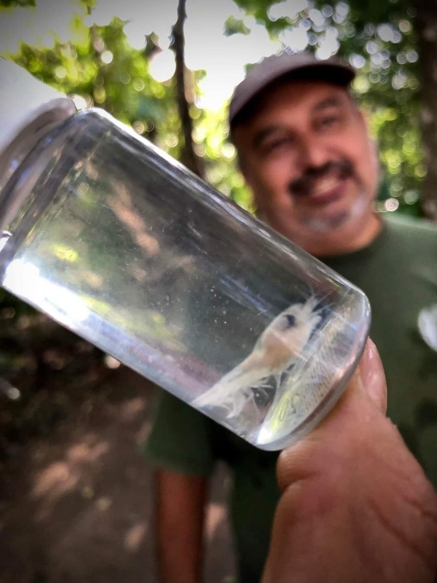 Presumen que puede haber más de esta familia controladora de bacterias en ojos de agua