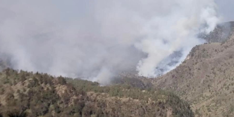 Se registra incendio en faldas del Pico de Orizaba