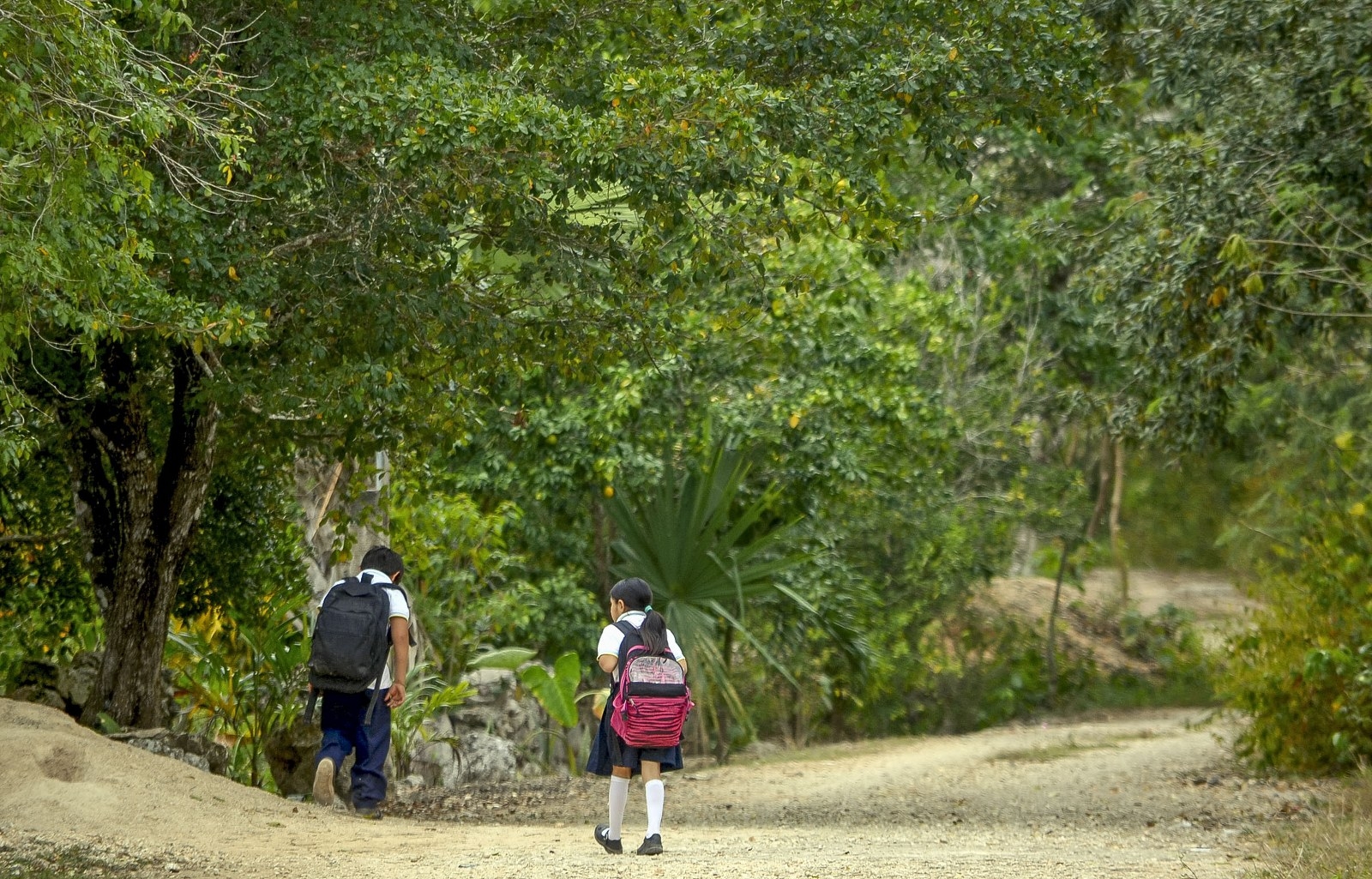 En José María Morelos se asignaron 35 millones 875 mil 388 pesos para escuelas